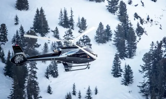 Helsinki Artic Fly